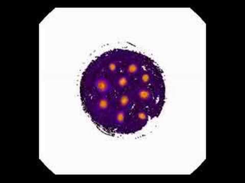 Relaxation of point vortex model to ...