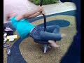 merry go round! merry go round!