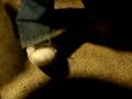 wetard breaks foot.AVI