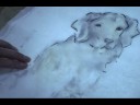 How to Trace a Painting on Rice Paper with Light Box