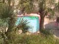 videos de Uncle Buck brings the Wallins to Ocean Isle Beach