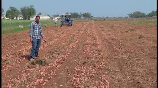 Potato Farmer (Bioniconema & Nicoderma)