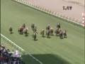 2008 新潟記念 NIIGATA KINEN