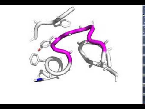 1ALC loop modeling animation on Youtube