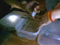 edgar se cae (version toy story) by batos locos