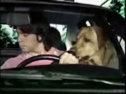 Recoplación de Comerciales Graciosos