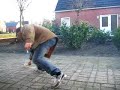 Nitraat gevolgd door vlinder Nitraat gevolgd door vlinder