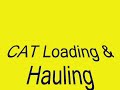 caterpillar D11