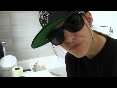 CAT THUG LIFE