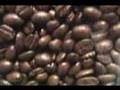 Lovely Head - Love Peace Rice & Beans