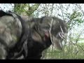 Real Outdoors TV / Turkey Hunting / In The Thick Stuff