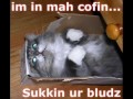 Bobby2.wmv Bobby2.wmv