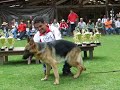 BACHA Expo Verano 2008 CCMPA