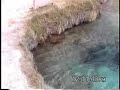 La Poza Azul cuatrocienegas La Poza Azul cuatrocienegas