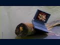 WSI Internet Marketing - Building Traffic WSI Internet Marketing - Building Traffic