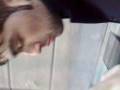 videos de ibrid e yok in giro per terni :D