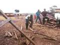 videos de chopping wood in Kenya