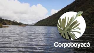 Mongua tiene el mayor tesoro ambiental la Laguna Negra