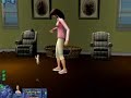 The Sims 2 Pets Producer Walkthrough