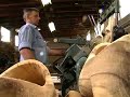 Klompenmakerij ten Hagen, nl.