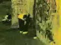 bevemo ke se divertimo bevemo ke se divertimo