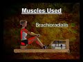 WaterRower South Africa WaterRower South Africa