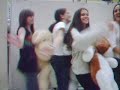 cr�u nos bichinhos