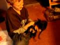 dog verses kid dog verses kid