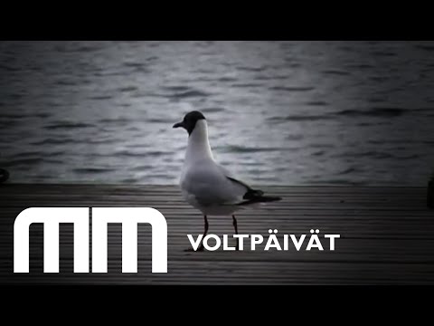 Muutamat Meistä - Flipdays