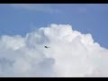 Osprey hunting then making an aborted dive before plunging into the lake for its supper!