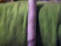 Circket bat signed by Kent pro 40 team (2006)