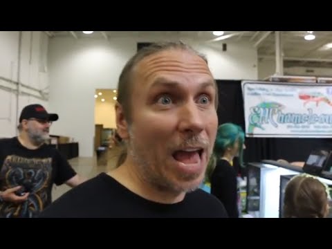 YouTube reptile video