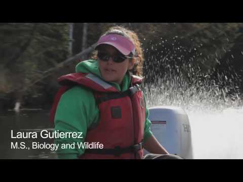 Chena River research