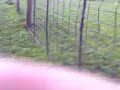 funny cow movie   dopey fuck