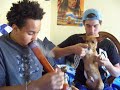 bong rips. fat milk hits