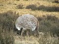 Aventura en la Patagonia