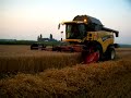 Van Holderbeke Triticale dorsen Van Holderbeke Triticale dorsen