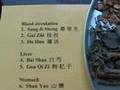Low Energy -- A Chinese Herbal Prescription (9)