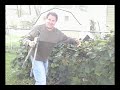 Pruning - Calvin Style Pruning - Calvin Style