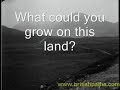 Irish Famine film