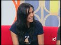 Perros Gatos y demas Mascotas