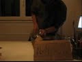 NAPALM NOISE -TRASH/NOISECORE- NAPALM NOISE -TRASH/NOISECORE-