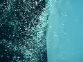 Sea Quest Southerly.mp4