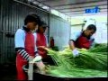 RTM1 Agrotek -Serai Citralife.wmv