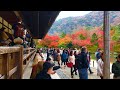 2019年11月24日(日)京都嵐山 天龍寺の紅葉と曹源池庭園🍁Tenryuji-Temple in Arashiyama✨ 岚山【4K】