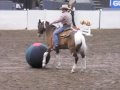 Tommy Garland horse plays ball