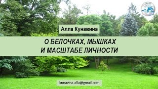 О белочках, мышках и масштабе личности