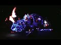 Fire Beaver Car at Alchemy Festival
