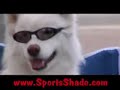 Sports Shade Canopy Awning Sports Shade Canopy Awning