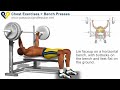 Bench Press